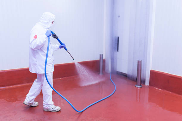 Reliable Big Coppitt Key, FL Pressure Washing Services Solutions